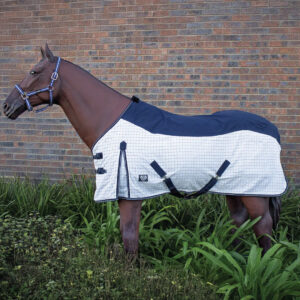 Frontier Canvas & Check Blanket